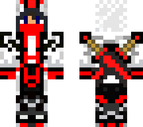assasin with two sword back