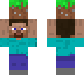 steve with grass block