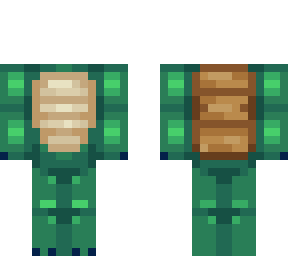 turtle costume