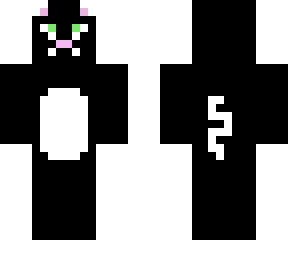 black cat
