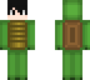 turtle