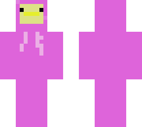 duck in hoodie