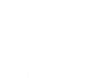 esqueleto