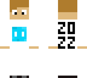 servie 2022 allay