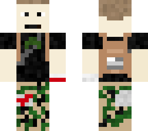 wastland survivor