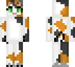 my oc dawnflight