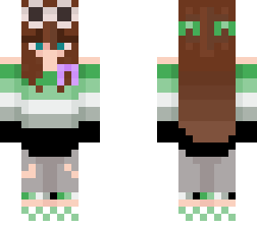aromantic dream smp!