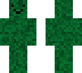 camo 2