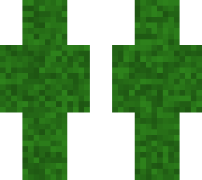 grass skin