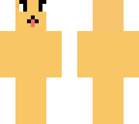 my first skin it is a golden retriever