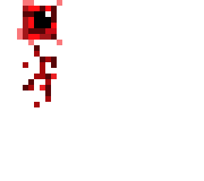 eye