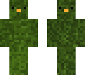 its a bird