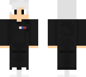 skin 17