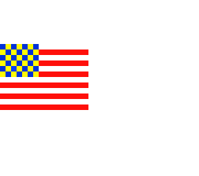 the american flag