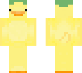 for duck lovers