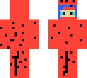 ladybug and marrienet