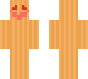 pumkin skin i made