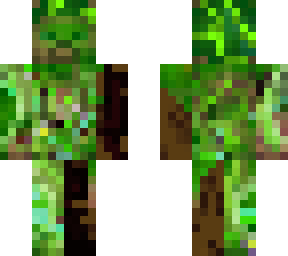 swamp steve