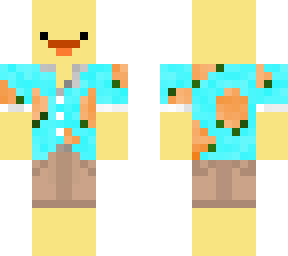 beach duck