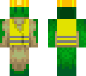 builder turtle
