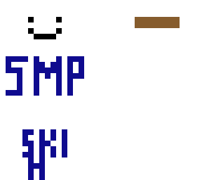 dream smp skin time