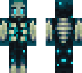 hyjink warden skin
