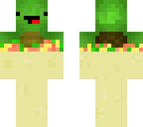 burrito turtle(take one)