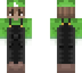 flyluigi