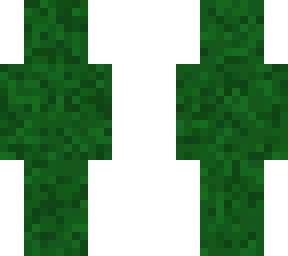grass