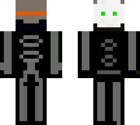 mineskin
