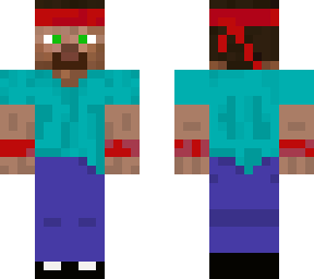 ninja steve