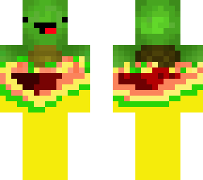 burrito turtle skin