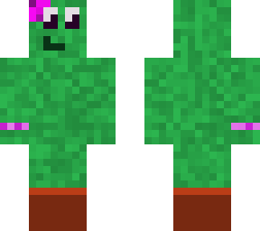 cactus plant pot