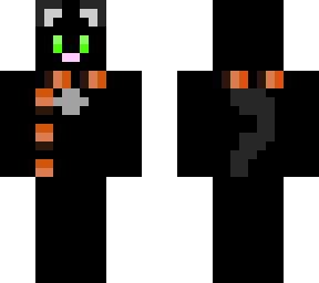 fall black cat