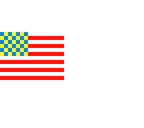 mr flag