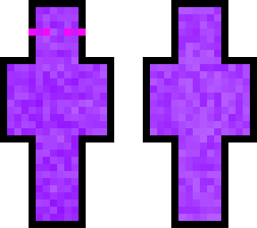 portal skin