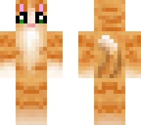 jade the ginger cat