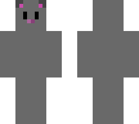gray cat base