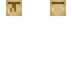 money bag