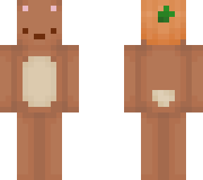teddy 1 (fall)