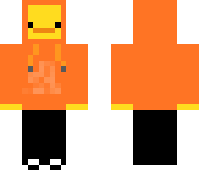 duck in hoodie 2