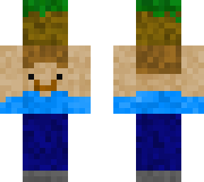 steve with grass block