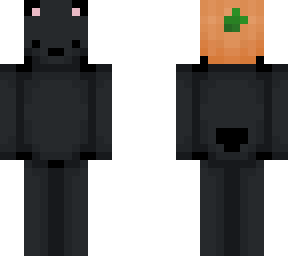 black bear (fall)