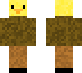 duck in a sweater