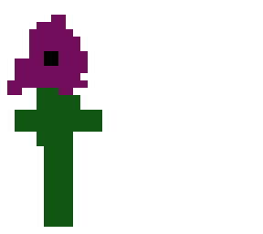 the purple flower.