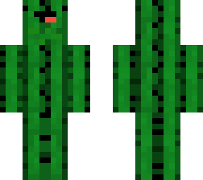 nood cacti
