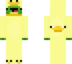 turtle in a duck onesie