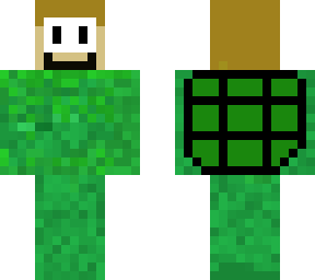 turtle skin
