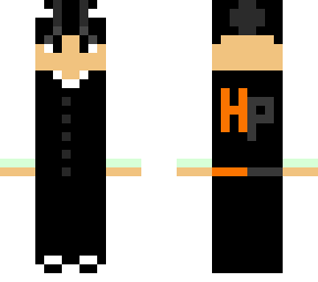 skin for priyes