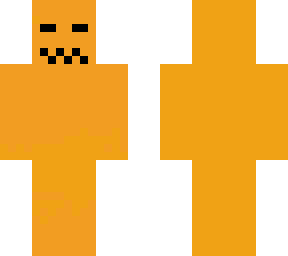 pumpkin skin